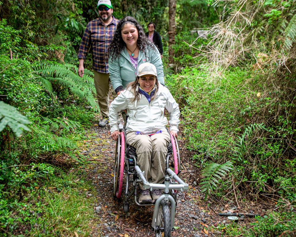 Eine kleine Reisegruppe unterwegs mit dem Lomo 360 in Chile in einem schönen tropischen Wald.